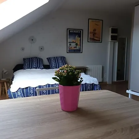 Studio Proche Land Apartament